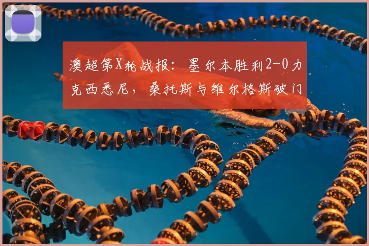 澳超第X轮战报:墨尔本胜利2-0力克西悉尼,桑托斯与维尔格斯破门建功,附全场数据分析